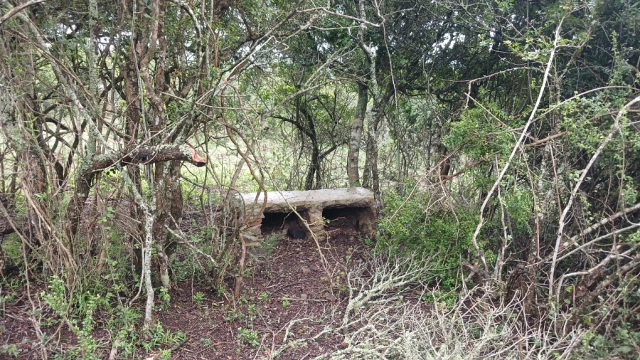 Commercial Property for Sale in Bathurst Rural Eastern Cape